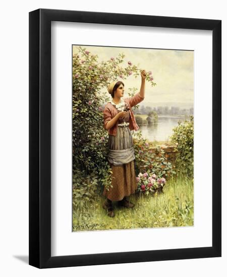 Cutting Roses Along the Seine-Daniel Ridgway Knight-Framed Giclee Print