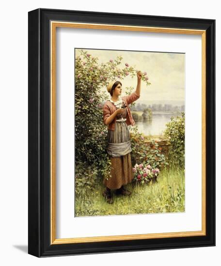 Cutting Roses Along the Seine-Daniel Ridgway Knight-Framed Giclee Print