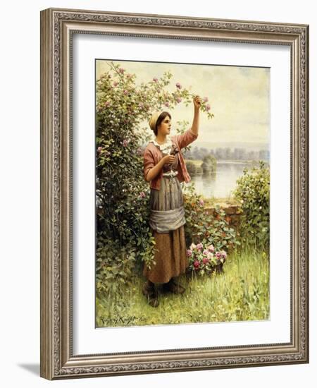 Cutting Roses Along the Seine-Daniel Ridgway Knight-Framed Giclee Print