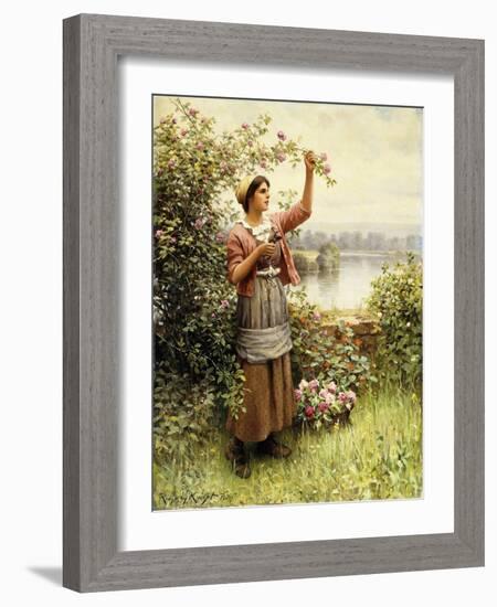 Cutting Roses Along the Seine-Daniel Ridgway Knight-Framed Giclee Print