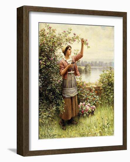 Cutting Roses Along the Seine-Daniel Ridgway Knight-Framed Giclee Print