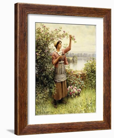 Cutting Roses Along the Seine-Daniel Ridgway Knight-Framed Giclee Print