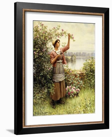 Cutting Roses Along the Seine-Daniel Ridgway Knight-Framed Giclee Print