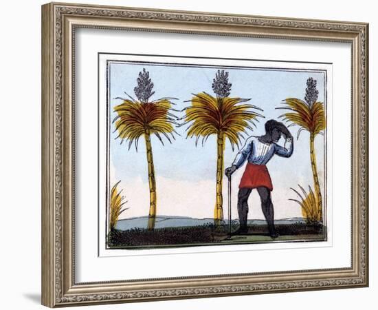 Cutting Sugar Cane, 1826-Amelia Alderson Opie-Framed Giclee Print