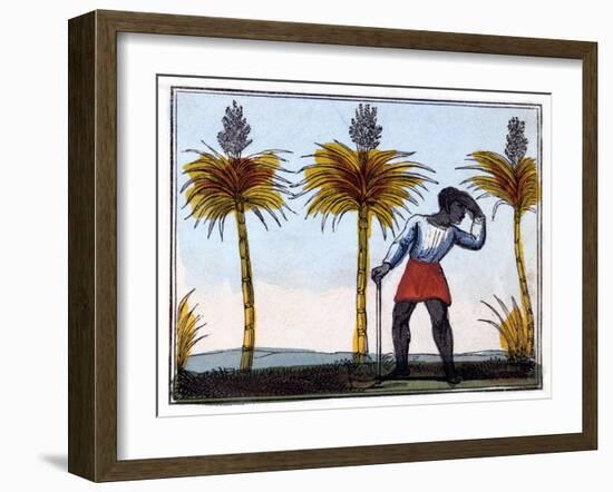 Cutting Sugar Cane, 1826-Amelia Alderson Opie-Framed Giclee Print