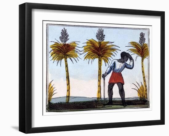 Cutting Sugar Cane, 1826-Amelia Alderson Opie-Framed Giclee Print