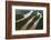 Cuyuni River, Guyana. Longest River in Guyana-Pete Oxford-Framed Photographic Print