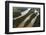 Cuyuni River, Guyana. Longest River in Guyana-Pete Oxford-Framed Photographic Print