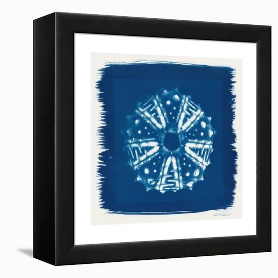 Cyan Blue Urchin-Christine Caldwell-Framed Stretched Canvas