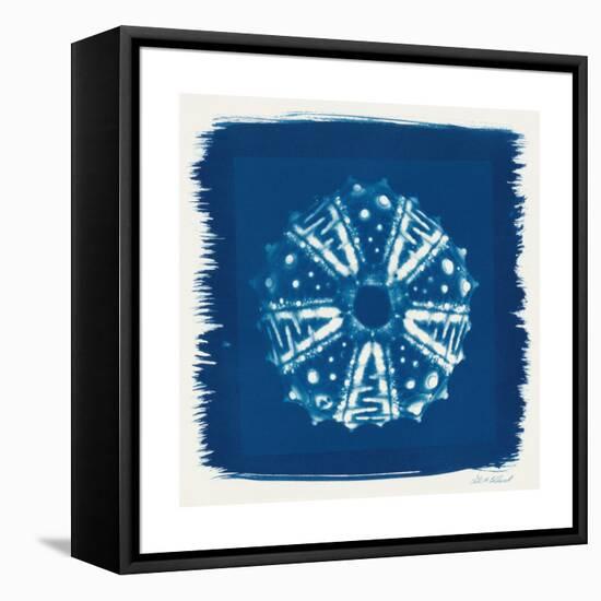Cyan Blue Urchin-Christine Caldwell-Framed Stretched Canvas