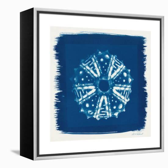 Cyan Blue Urchin-Christine Caldwell-Framed Stretched Canvas