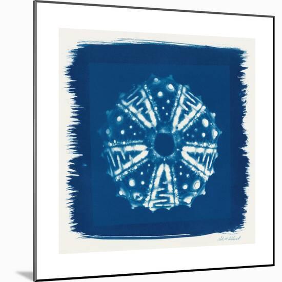 Cyan Blue Urchin-Christine Caldwell-Mounted Premium Giclee Print