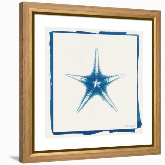 Cyan Starfish-Christine Caldwell-Framed Stretched Canvas