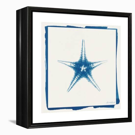 Cyan Starfish-Christine Caldwell-Framed Stretched Canvas