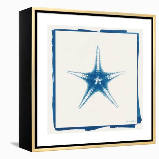 Cyan Starfish-Christine Caldwell-Framed Stretched Canvas