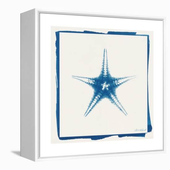 Cyan Starfish-Christine Caldwell-Framed Stretched Canvas