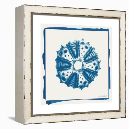 Cyan White Urchin-Christine Caldwell-Framed Stretched Canvas