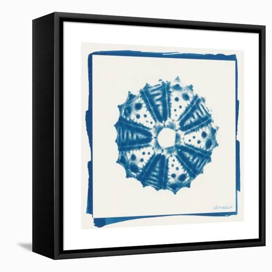 Cyan White Urchin-Christine Caldwell-Framed Stretched Canvas