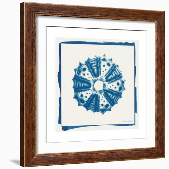 Cyan White Urchin-Christine Caldwell-Framed Premium Giclee Print