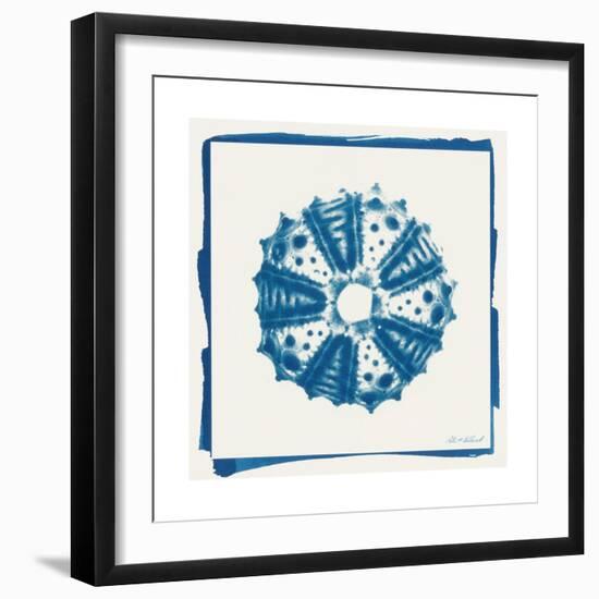 Cyan White Urchin-Christine Caldwell-Framed Premium Giclee Print