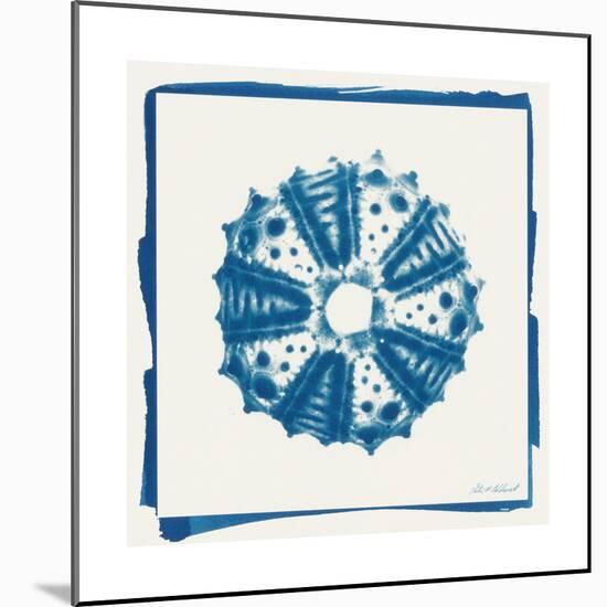 Cyan White Urchin-Christine Caldwell-Mounted Premium Giclee Print