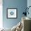 Cyan White Urchin-Christine Caldwell-Framed Premium Giclee Print displayed on a wall