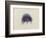 Cyanea Capillata: Lion's Mane Jellyfish-Philip Henry Gosse-Framed Giclee Print