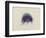 Cyanea Capillata: Lion's Mane Jellyfish-Philip Henry Gosse-Framed Giclee Print