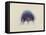 Cyanea Capillata: Lion's Mane Jellyfish-Philip Henry Gosse-Framed Premier Image Canvas