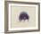 Cyanea Capillata: Lion's Mane Jellyfish-Philip Henry Gosse-Framed Giclee Print