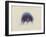 Cyanea Capillata: Lion's Mane Jellyfish-Philip Henry Gosse-Framed Giclee Print