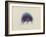 Cyanea Capillata: Lion's Mane Jellyfish-Philip Henry Gosse-Framed Giclee Print