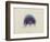 Cyanea Capillata: Lion's Mane Jellyfish-Philip Henry Gosse-Framed Premium Giclee Print