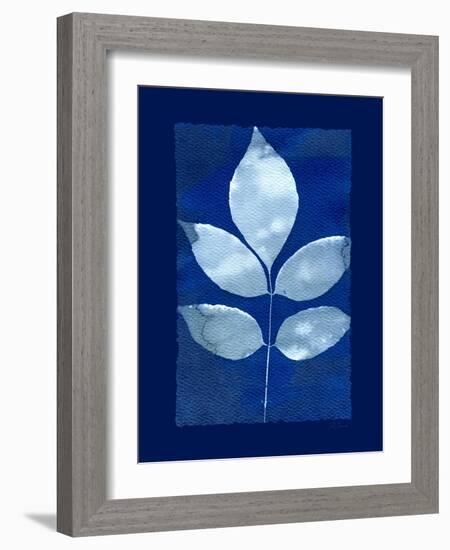 Cyanotype Birch-Dan Zamudio-Framed Art Print