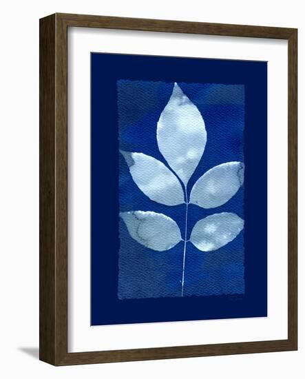 Cyanotype Birch-Dan Zamudio-Framed Art Print