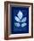 Cyanotype Birch-Dan Zamudio-Framed Art Print