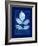 Cyanotype Birch-Dan Zamudio-Framed Art Print