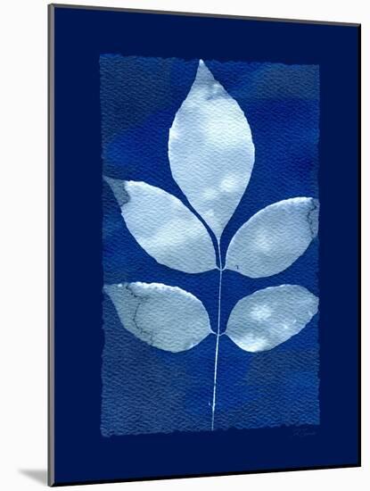 Cyanotype Birch-Dan Zamudio-Mounted Art Print