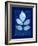 Cyanotype Birch-Dan Zamudio-Framed Art Print