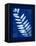 Cyanotype Fern-Dan Zamudio-Framed Stretched Canvas