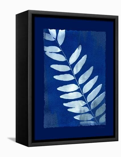 Cyanotype Fern-Dan Zamudio-Framed Stretched Canvas