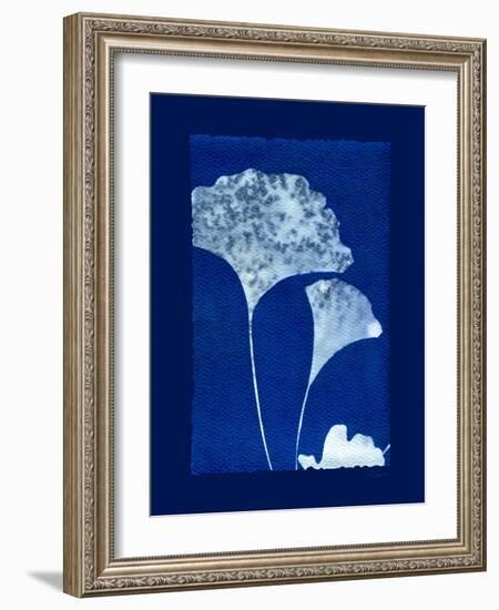 Cyanotype Ginko-Dan Zamudio-Framed Art Print