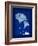 Cyanotype Ginko-Dan Zamudio-Framed Art Print