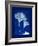 Cyanotype Ginko-Dan Zamudio-Framed Art Print