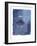 Cyanotype I-Ken Hurd-Framed Art Print