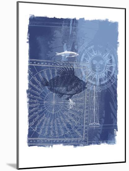 Cyanotype I-Ken Hurd-Mounted Art Print