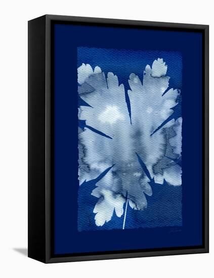 Cyanotype Leaf-Dan Zamudio-Framed Stretched Canvas