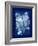 Cyanotype Leaf-Dan Zamudio-Framed Art Print