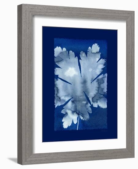 Cyanotype Leaf-Dan Zamudio-Framed Art Print