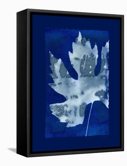 Cyanotype Maple-Dan Zamudio-Framed Stretched Canvas